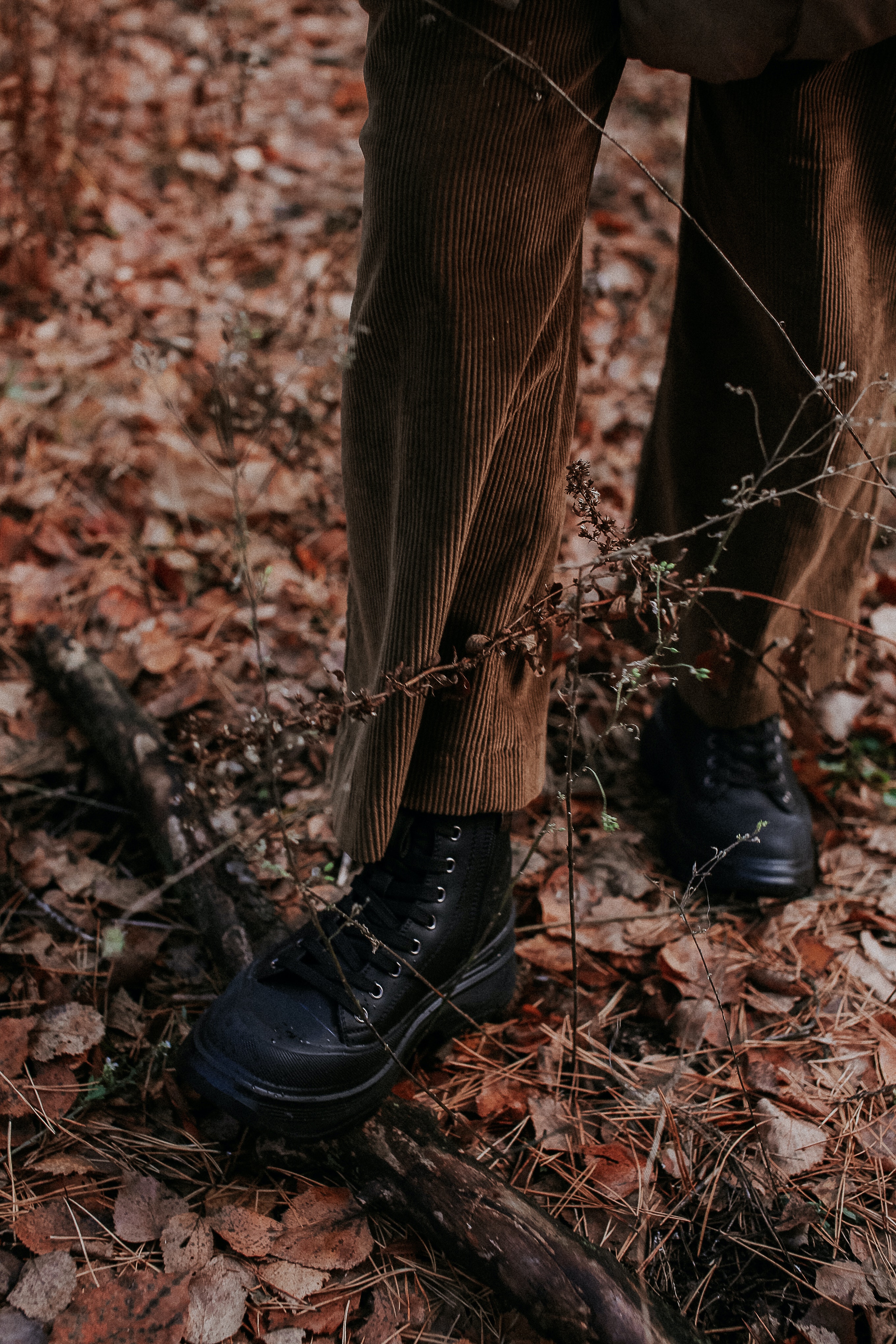 Complimentary photo: Boots in the fall leaves